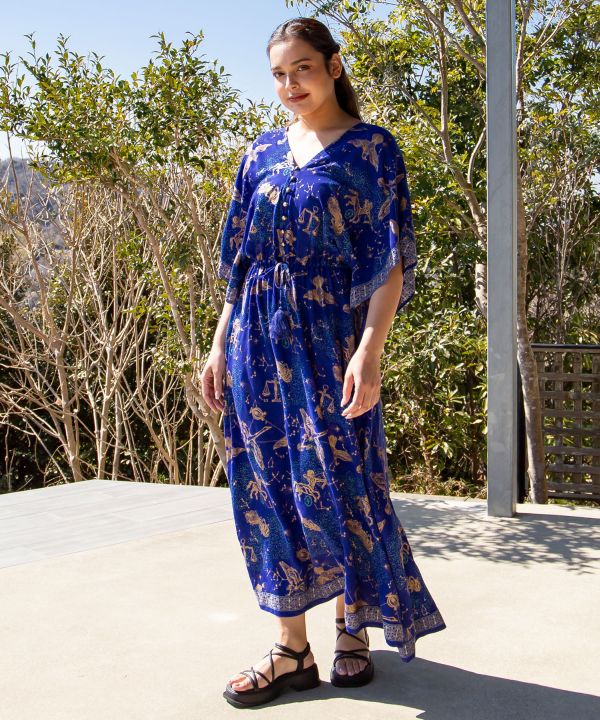 farm rio blue flower dress Summer Celestial V-Neck Maxi Dress
