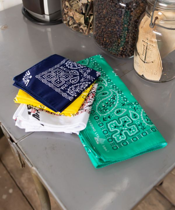 Staple Paisley Print Bandana