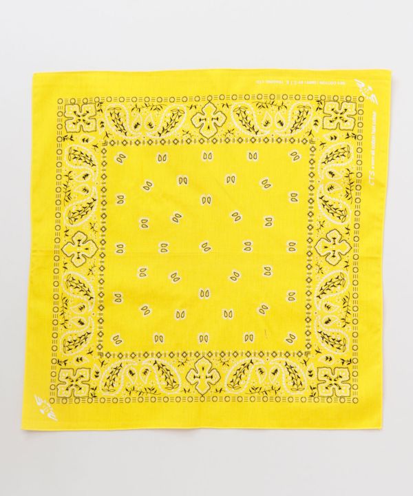 Staple Paisley Print Bandana