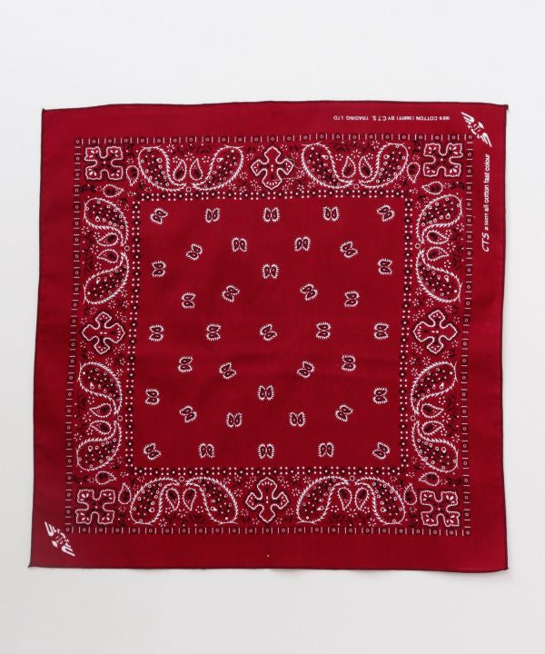 Staple Paisley Print Bandana
