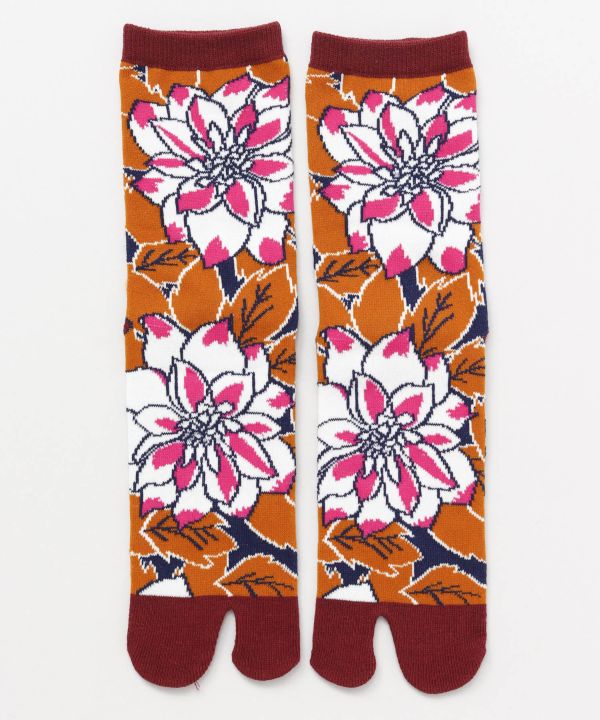 TABI Socks - KOI-AI 23-25cm