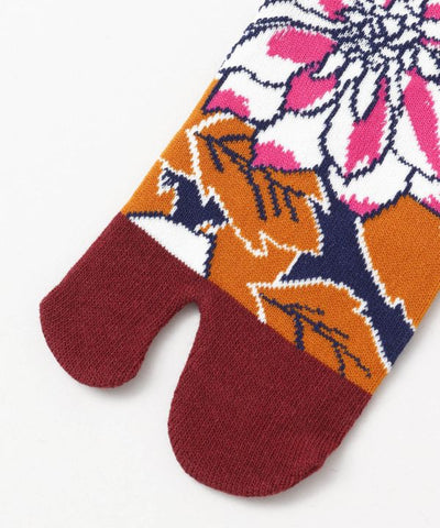 TABI Socks - KOI-AI 23-25cm