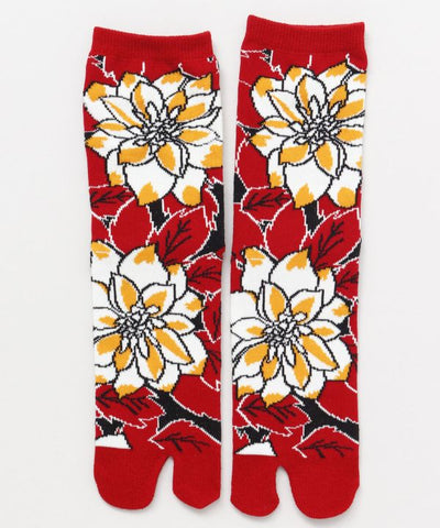 TABI Socks - RO-IRO 23-25cm