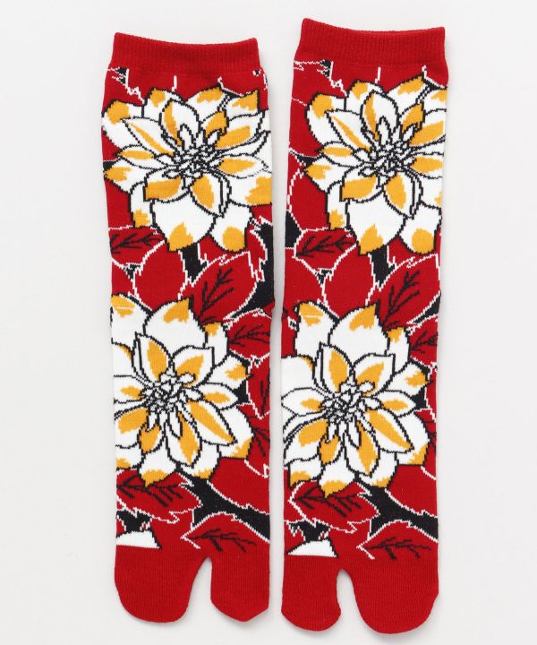 TABI Socks - RO-IRO 23-25cm