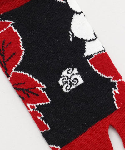 TABI Socks - RO-IRO 23-25cm