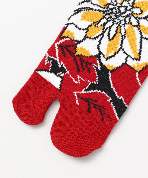 TABI Socks - RO-IRO 23-25cm