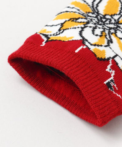 TABI Socks - RO-IRO 23-25cm