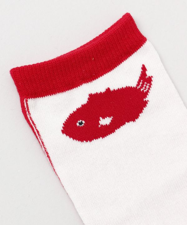 TABI Socks - EBISU 23-25cm