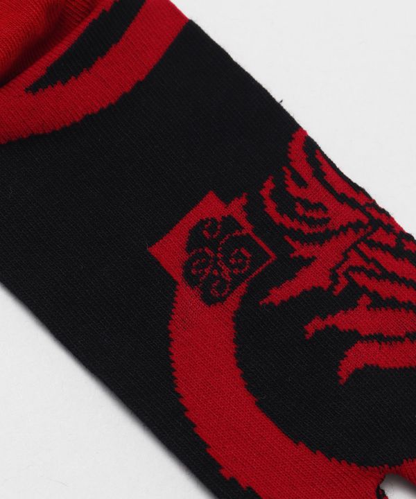 TABI Socks - Modern WAGARA 25-28cm