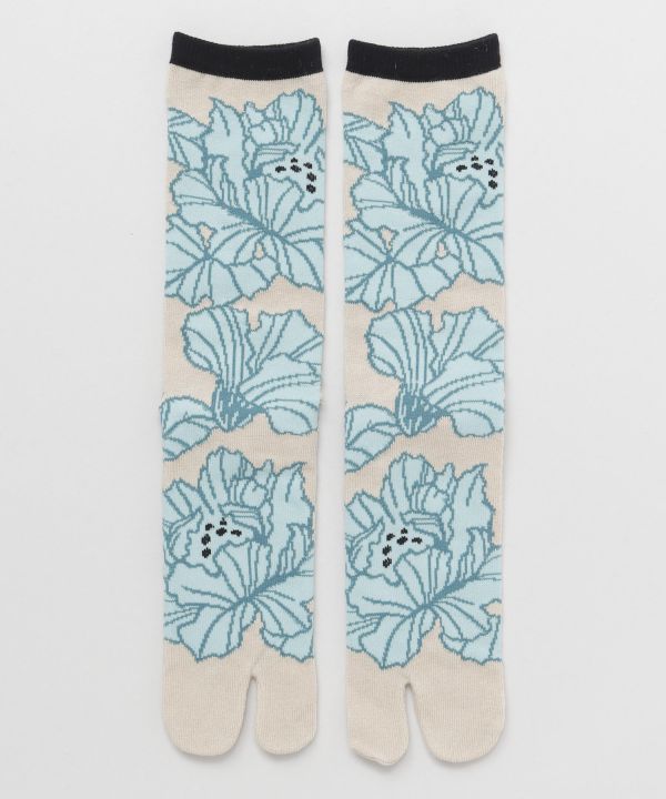 Tabi Socks - HANA YOSOOI - ASAGI 25-28cm Socks by Kaya - Ametsuchi