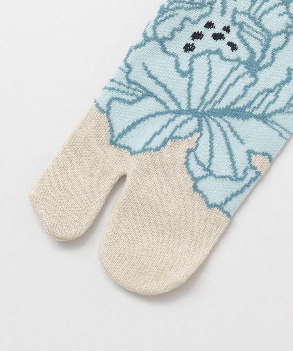 Tabi Socks - HANA YOSOOI - ASAGI 25-28cm Socks by Kaya - Ametsuchi