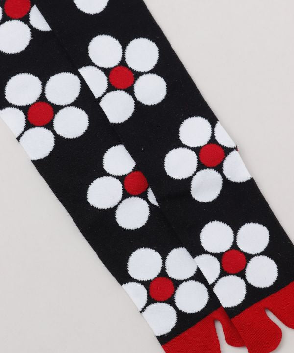 Tabi Knee Socks - UME 23-25cm