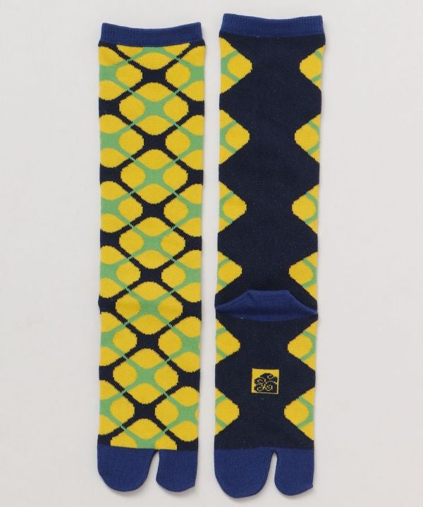 Tabi Knee Socks - HISHIGATA 23-25cm