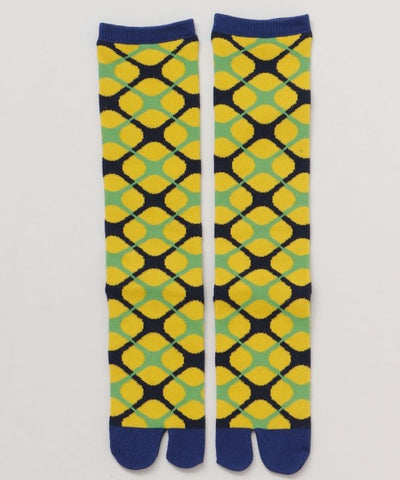 Tabi Knee Socks - HISHIGATA 23-25cm