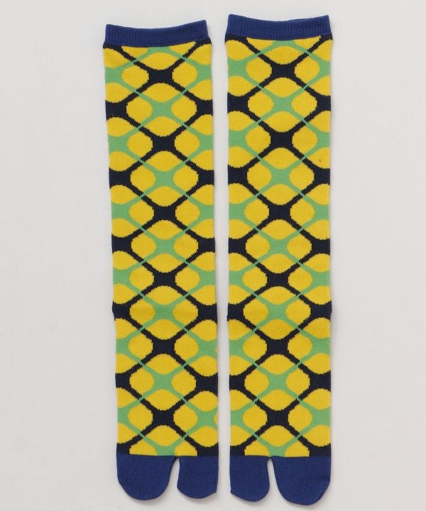 Tabi Knee Socks - HISHIGATA 23-25cm