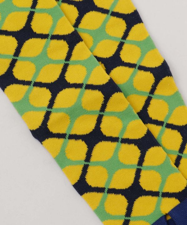 Tabi Knee Socks - HISHIGATA 23-25cm