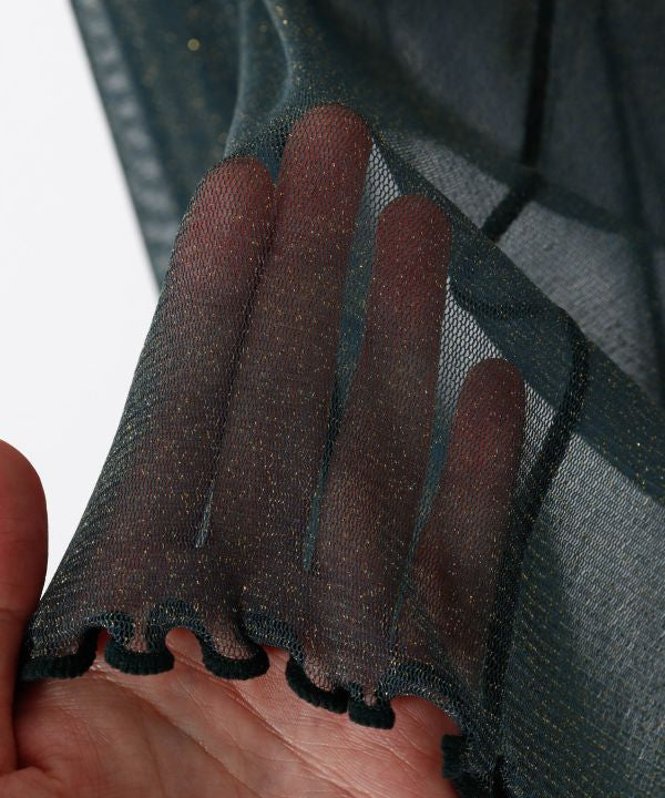 Stretchy Sheer Gold Glitter Top