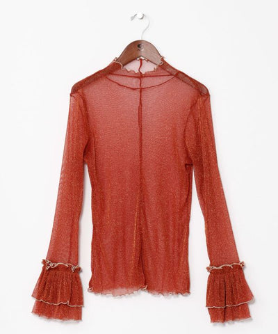 Stretchy Sheer Gold Glitter Top