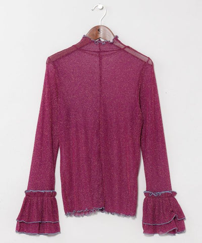 Stretchy Sheer Gold Glitter Top