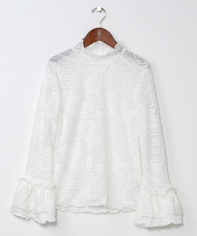 Paisley Pattern Sheer Top