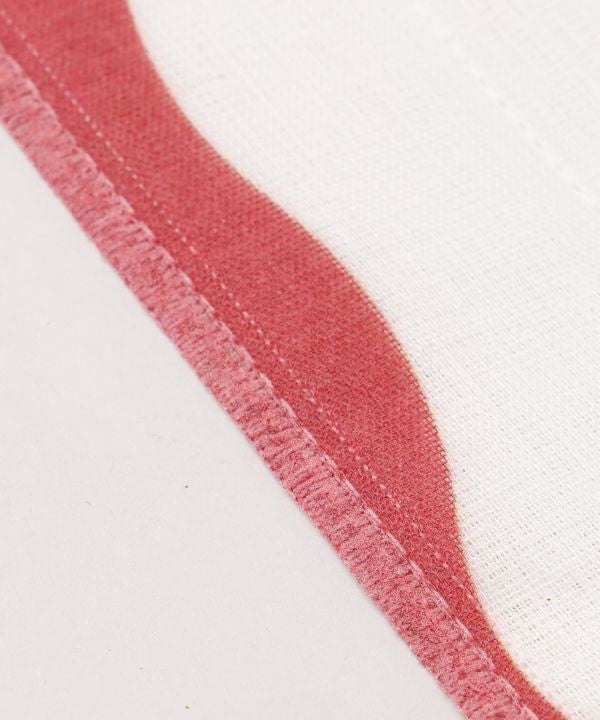 Horse Print Dish Cloth