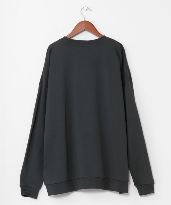 Hop on the Desert Ship Sweatshirt