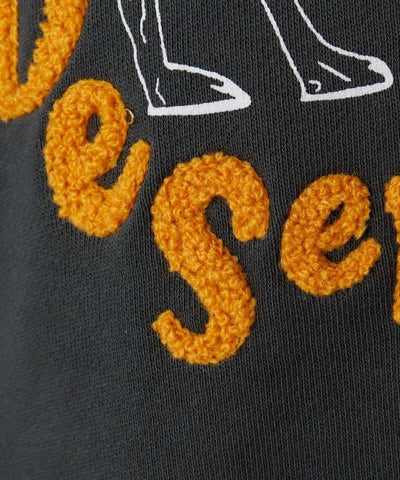 Hop on the Desert Ship Sweatshirt