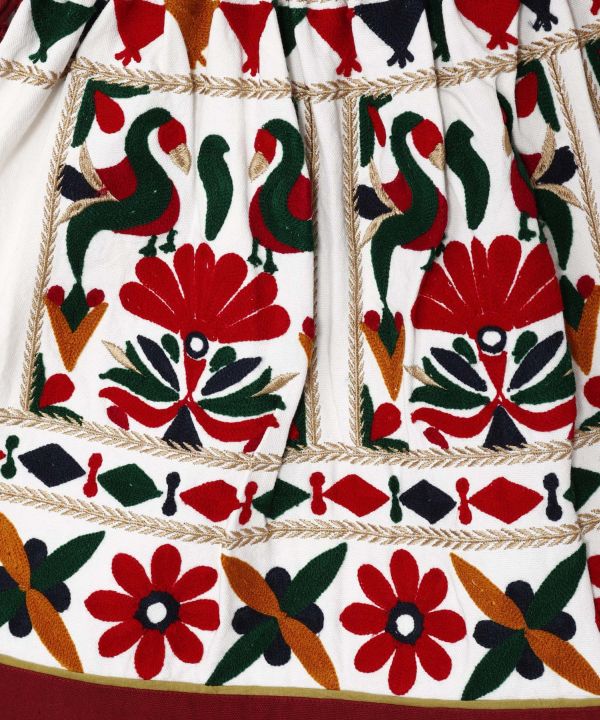 Embroidered Mini Skirt