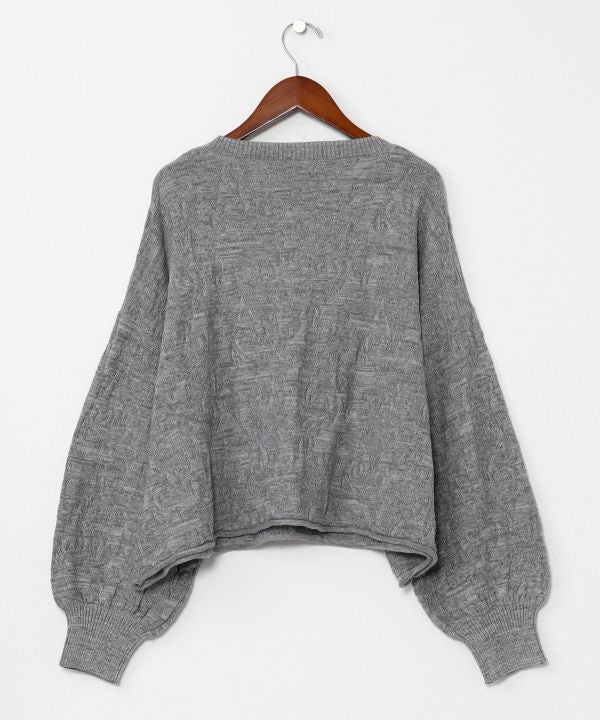 Textured Paisley Knit Crop Top