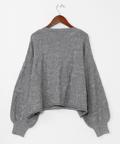 Textured Paisley Knit Crop Top