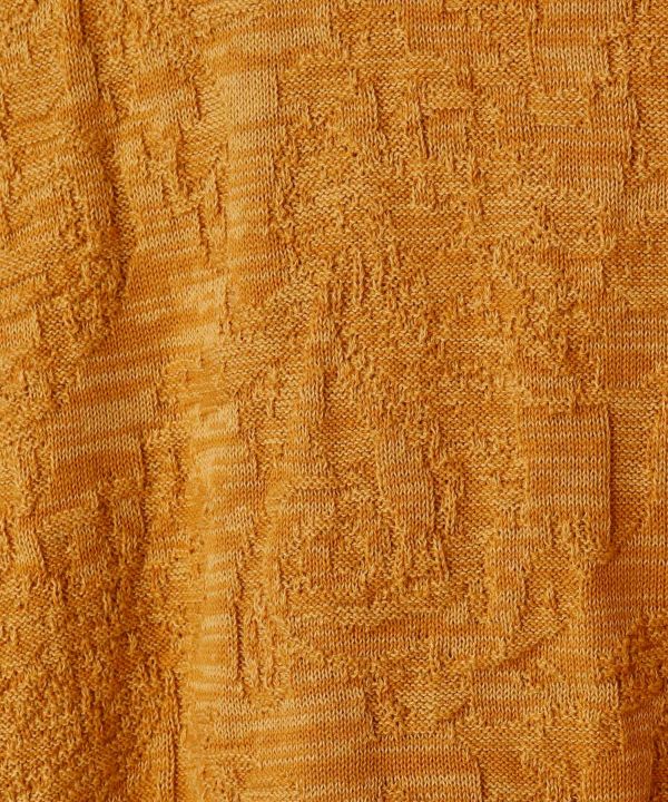 Textured Paisley Knit Crop Top