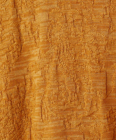 Textured Paisley Knit Crop Top