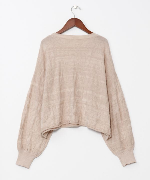 Textured Paisley Knit Crop Top