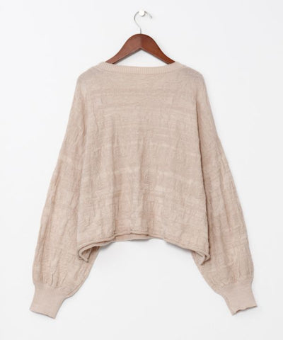 Textured Paisley Knit Crop Top