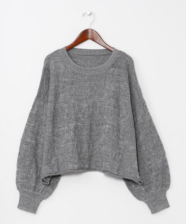 Textured Paisley Knit Crop Top