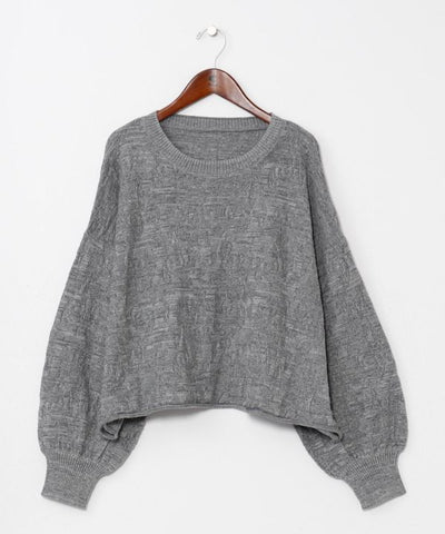 Textured Paisley Knit Crop Top