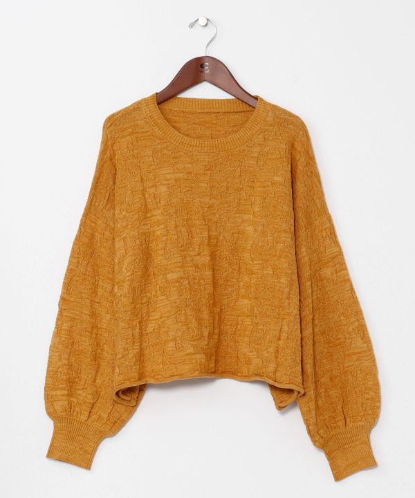 Textured Paisley Knit Crop Top