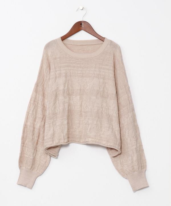 Textured Paisley Knit Crop Top