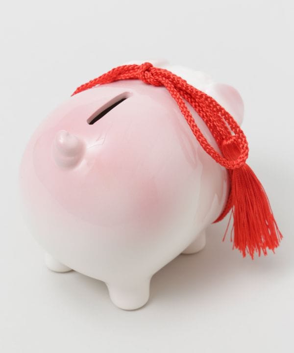 Seto Ware Buta-Chan Piggy Bank - M