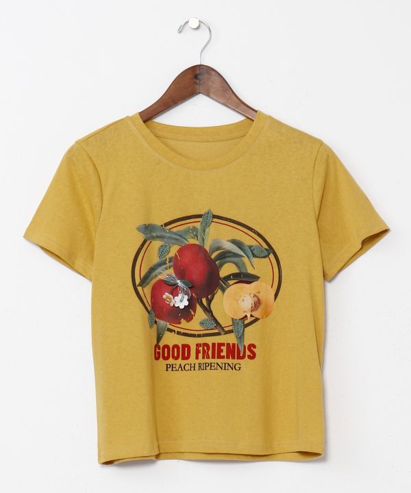 เสื้อยืดครอปปักลายผลไม้ AMINA - Ametsuchi
