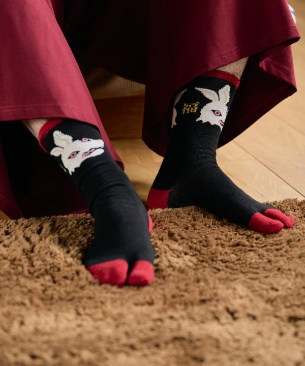 Tabi Socks - Ukiyoe Animal - 25-28cm