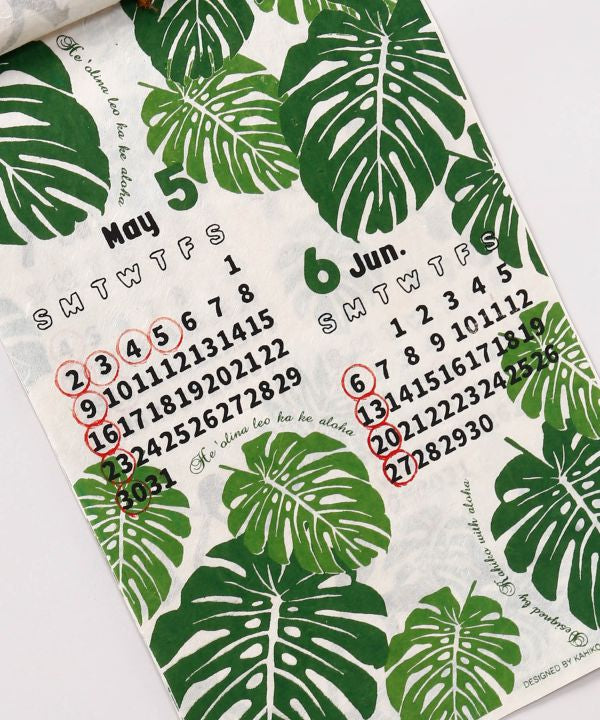 2027 Wall Calendar - Hawaii