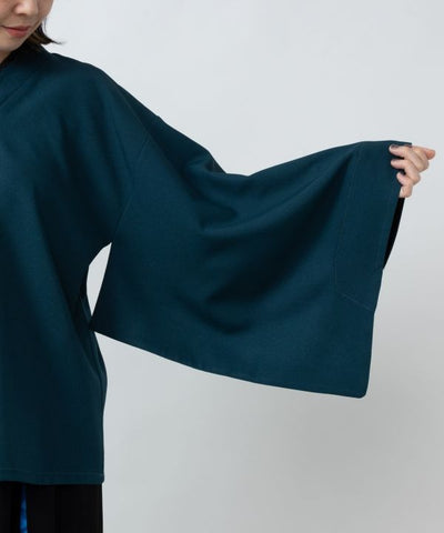 Kimono Like Blouse with Sharemon Embroidery