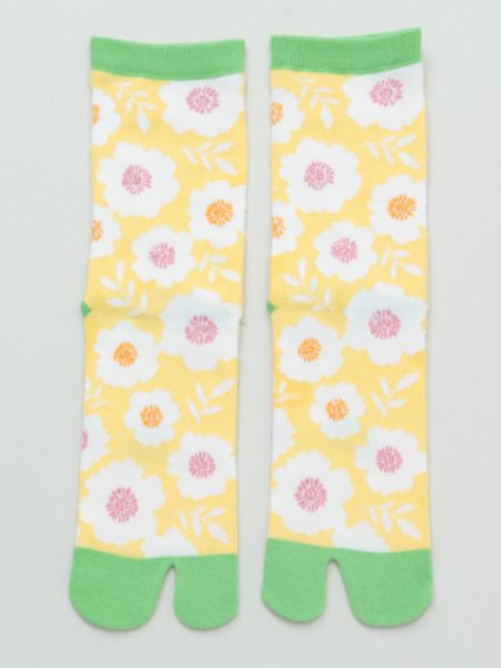 Chaussettes AOI TABI 23-25cm