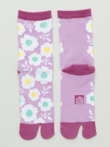 Chaussettes AOI TABI 23-25cm