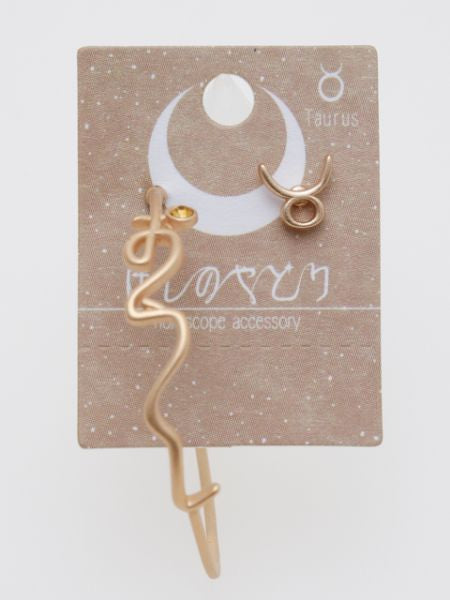 HIRAGANA Zodiac Earrings