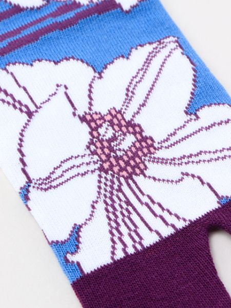 Poppy TABI Socks 23～25cm