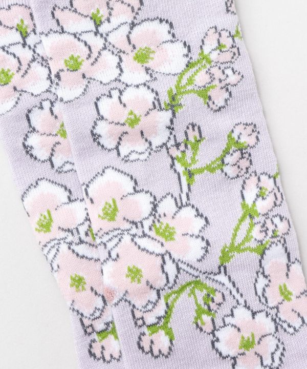 TABI Socks SIDARE SAKURA 23～25cm