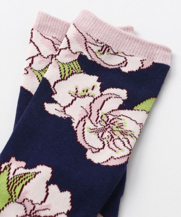 Kaos Kaki Momo Tabi Ukuran 23-25cm oleh Kaya - Ametsuchi