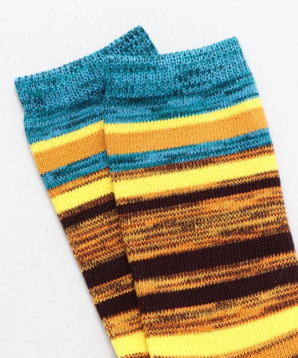 Coloful Stripe Socks 23～25cm